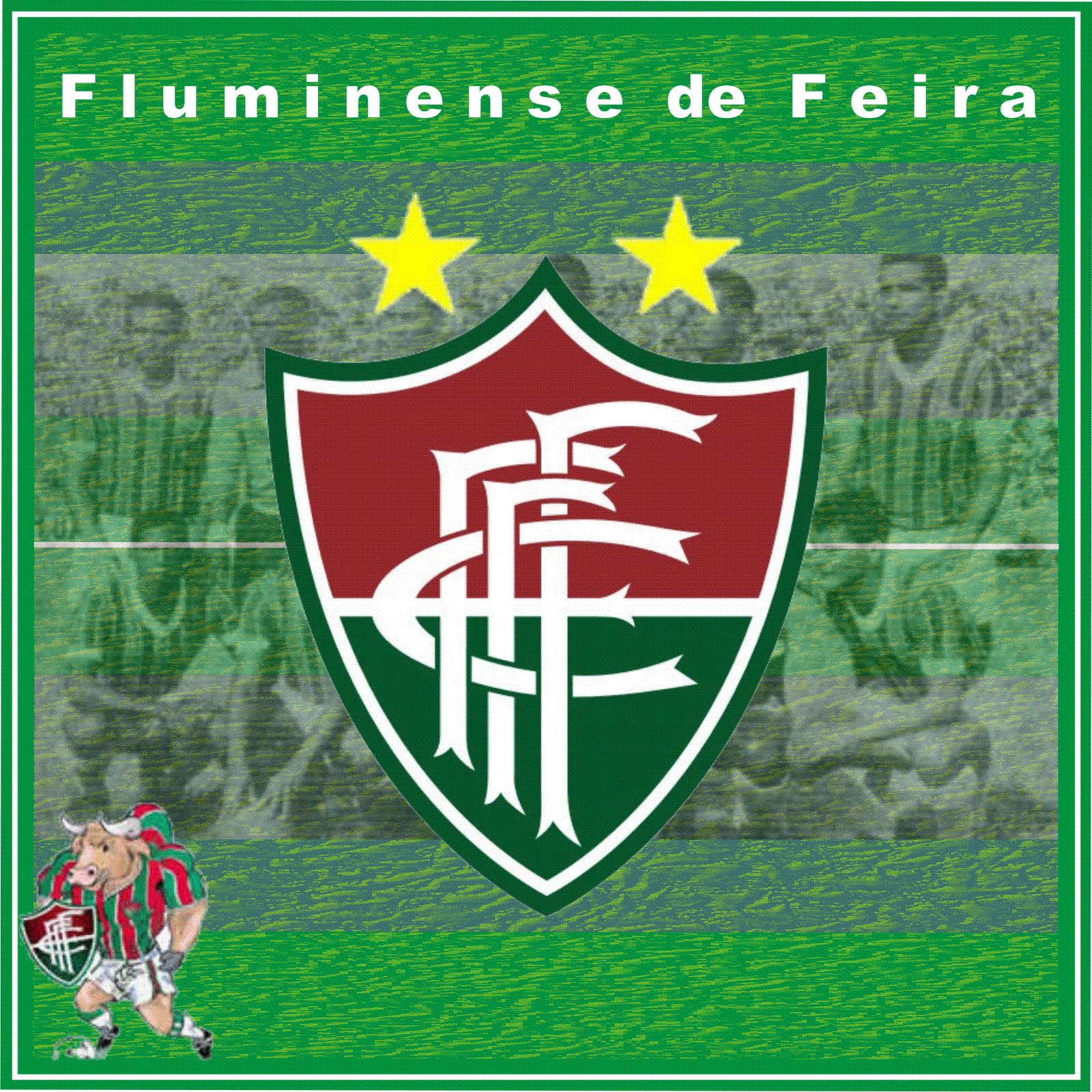 Resultado de imagem para Fluminense de Feira